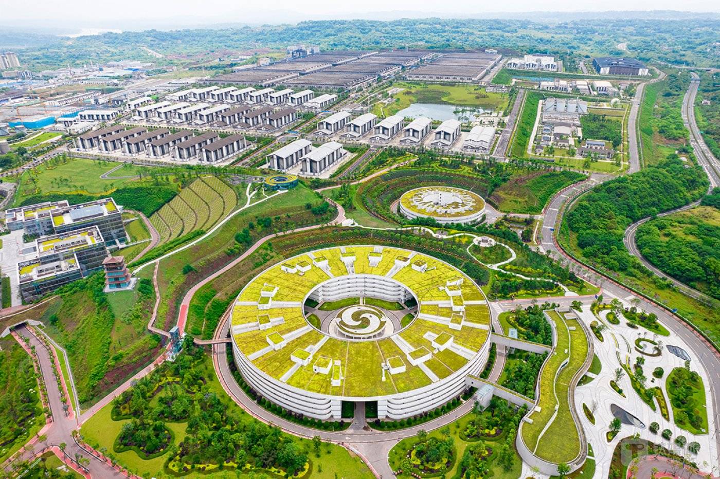 (图源：泸州老窖）