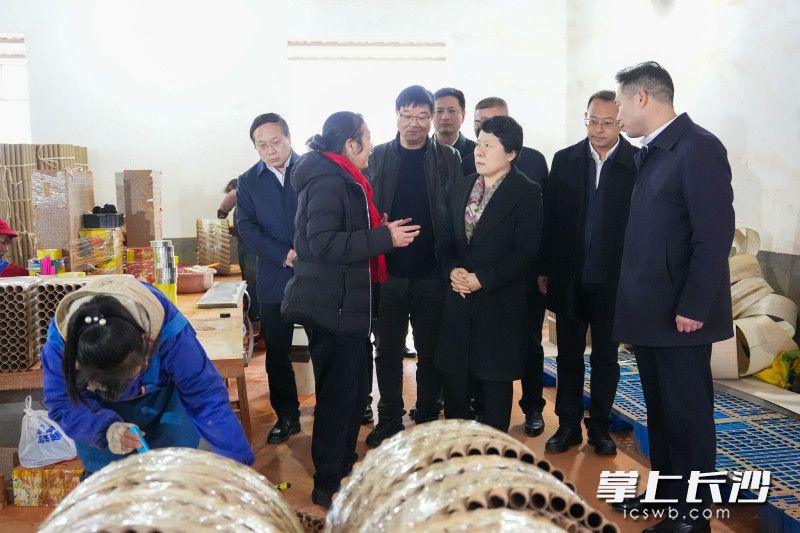 吴桂英以“四不两直”方式督导检查烟花爆竹企业安全隐患整改落实情况。