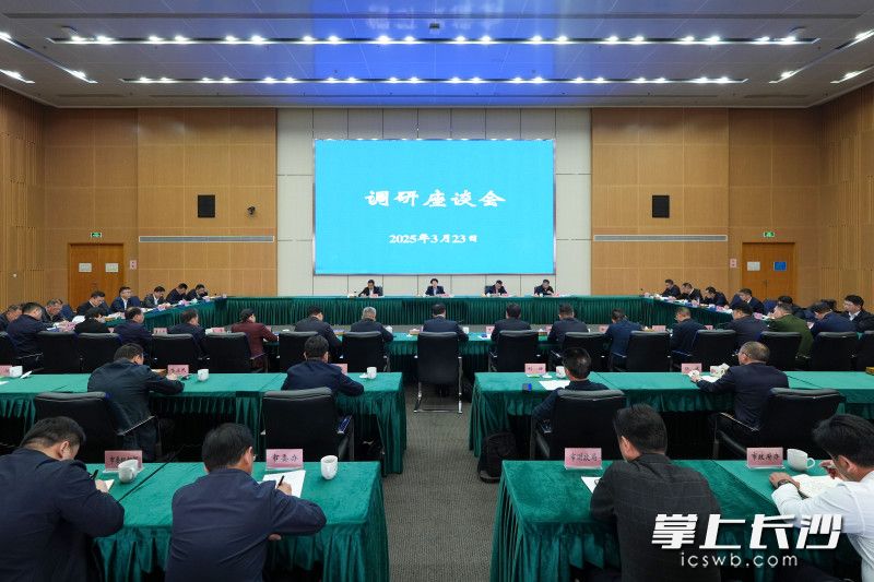 座谈现场。均为长沙晚报全媒体记者 郭雨滴 摄