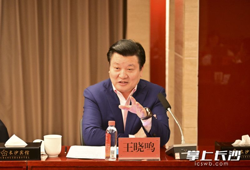王晓鸣。