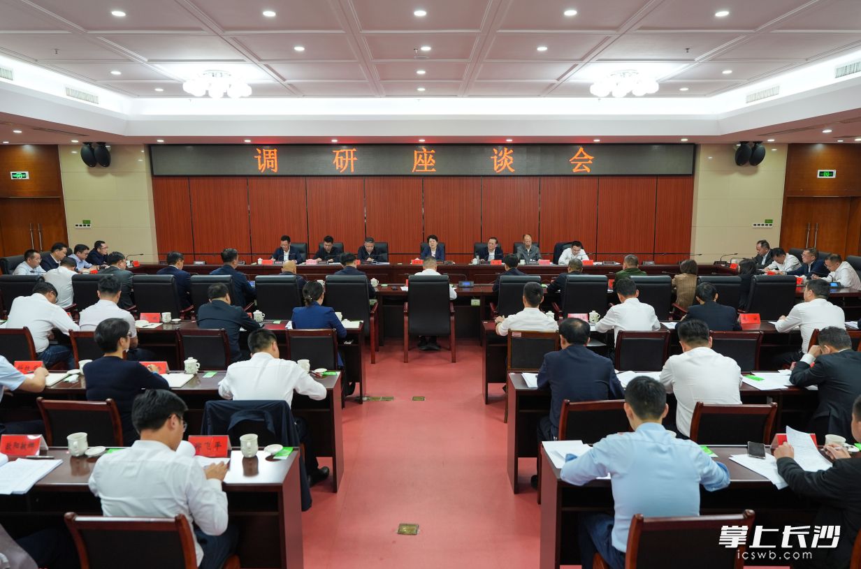 调研座谈会现场。均为长沙晚报全媒体记者 郭雨滴 摄