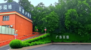 7273d527-a9fa-4cc9-8cea-3f996052d45f.png