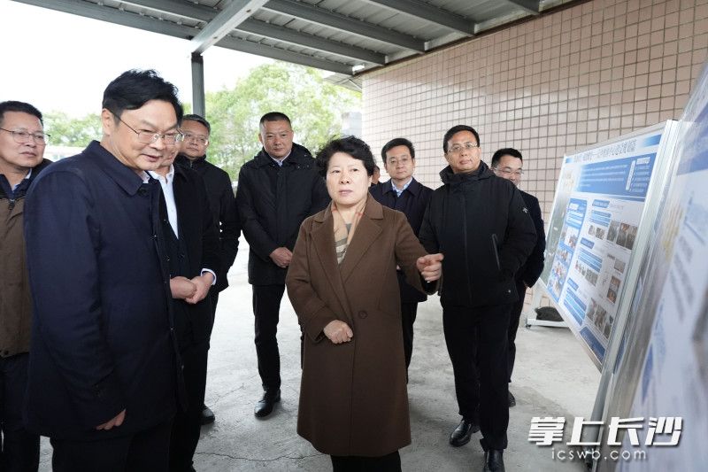 吴桂英调研长沙奥体中心项目规划建设情况。