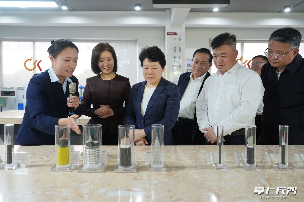 湖南金龙科技集团有限公司调研现场。