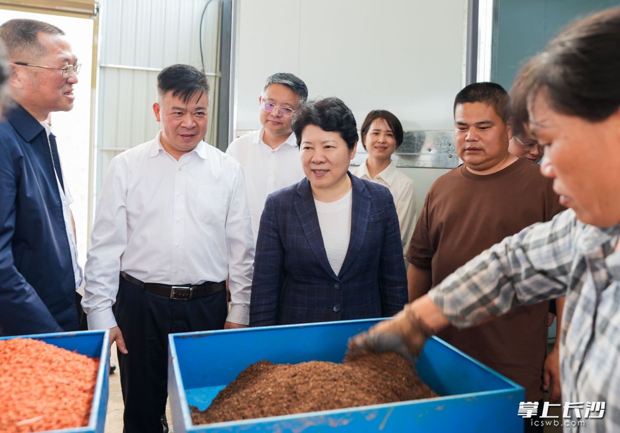 吴桂英在团山湖村高标准农田示范片调研春耕生产工作。