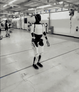 D24818117837405139254_w318h370.gif