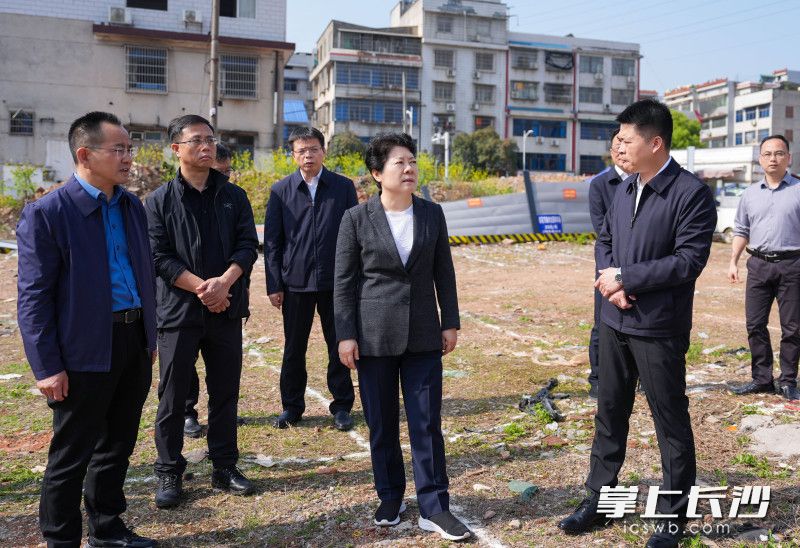 吴桂英“四不两直”检查省植物园周边环境整治情况。均为长沙晚报全媒体记者郭雨滴摄