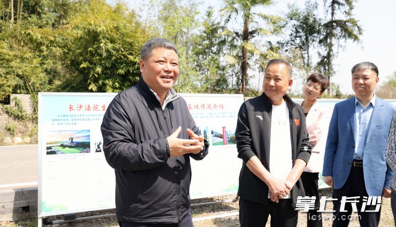 陈刚一行来到沿溪镇“浏河第一湾”，在浏阳市法院生态环境保护司法教育基地沿生态步道察看典型案例展示。