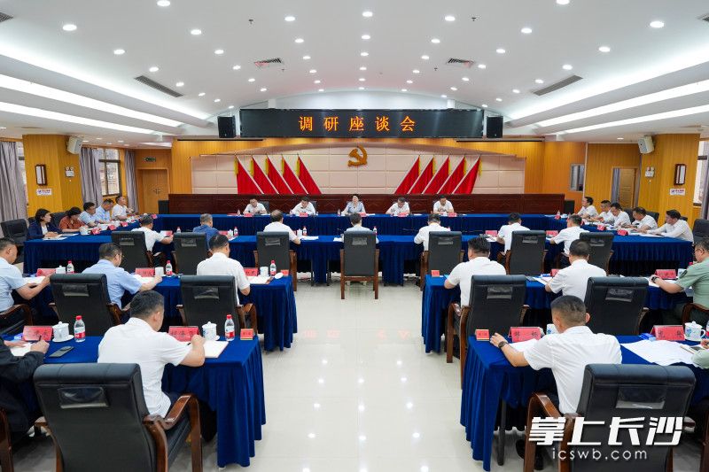 调研座谈会现场。 均为长沙晚报全媒体记者郭雨滴摄