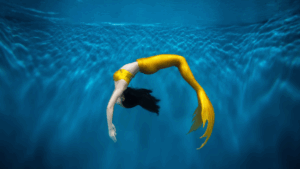 1746129807_444.png