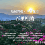 466a730b-9ecc-4be7-9b11-b34c8a943da1.png