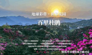 466a730b-9ecc-4be7-9b11-b34c8a943da1.png