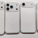 D25445895482219188884_w1030h568.jpg
