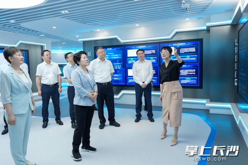 湖南泛联新安信息科技有限公司调研现场。