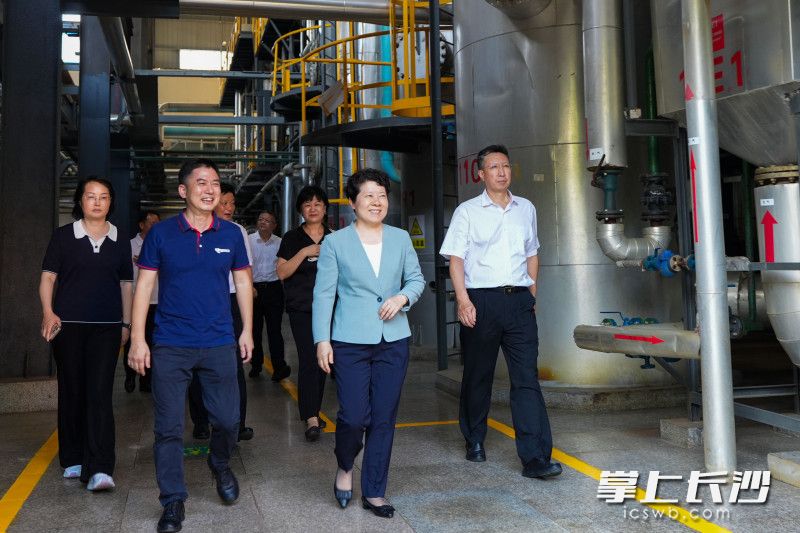 湖南丽臣奥威实业有限公司调研现场。
