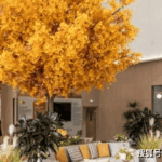 25c55879-81aa-4bd3-9cc6-da3e328f410f.png
