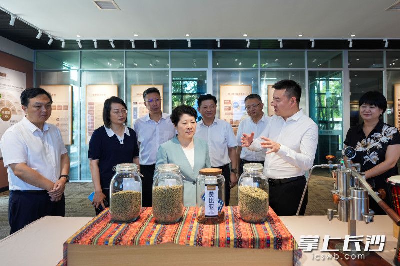 众咖联产业互联网平台项目调研现场。