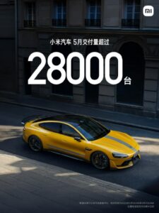 D24847824360003437198_w750h1000.jpg