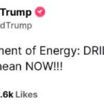 D24996552411472193877_w546h198.jpg