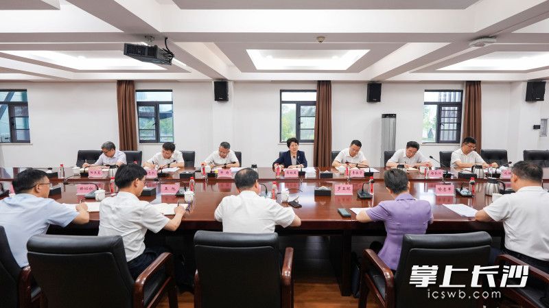 座谈会现场。均为长沙晚报全媒体记者 郭雨滴 摄