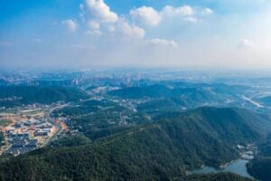db501108-9f18-4d0d-a8e0-26169eb2cb61.JPEG