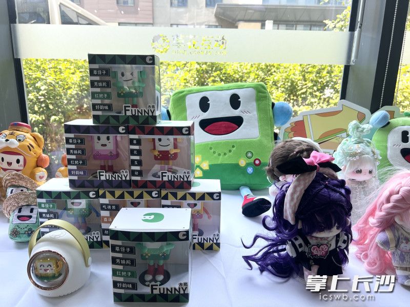 宣讲活动聚焦视频文创、动漫游戏、文化出海等领域。长沙晚报全媒体记者 刘俊 摄