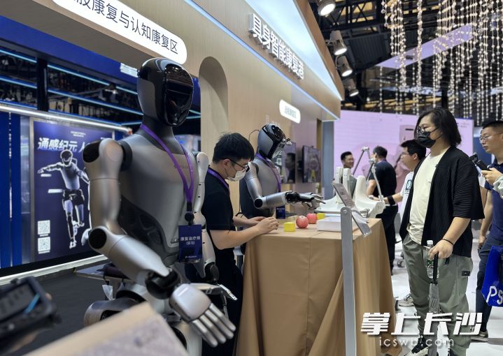 具身智能正加速变革。  长沙晚报全媒体记者 唐朝昭 摄