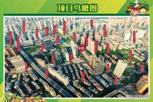 d49a9769-17cf-4f14-8221-3aa45c161ffb.JPEG