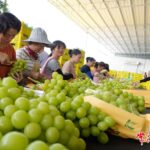 document_news_content_6889eeb9d45b8.jpg