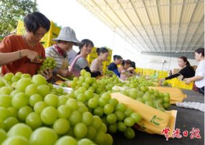 document_news_content_6889eeb9d45b8.jpg