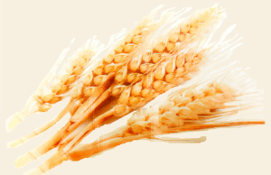 sy_1qh_2023101218234225.png