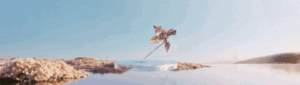 1b83f1de-8b20-4241-a9de-770186f652a0.gif