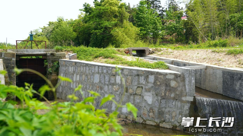 修缮一新的闸坝、沟渠，将有效解决400亩农田灌溉问题，为4个村民小组百来户农户带来实实在在的灌溉便利。长沙晚报通讯员 邬振 摄