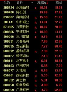 D25113043885852300205_w459h627.jpg