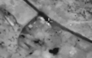 D25650769615469284355_w454h286.gif