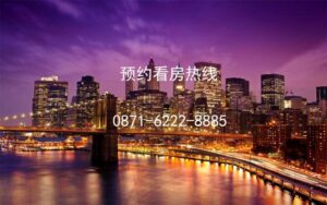 e8298ad6-0c05-4ebf-a724-bf3fed938e57.JPEG