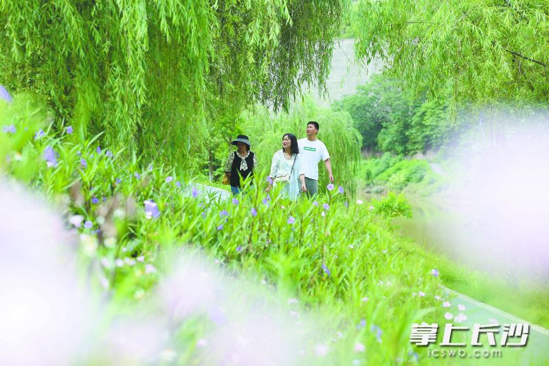市民漫步花溪河畔。 均为重庆市巴南区融媒体中心供图