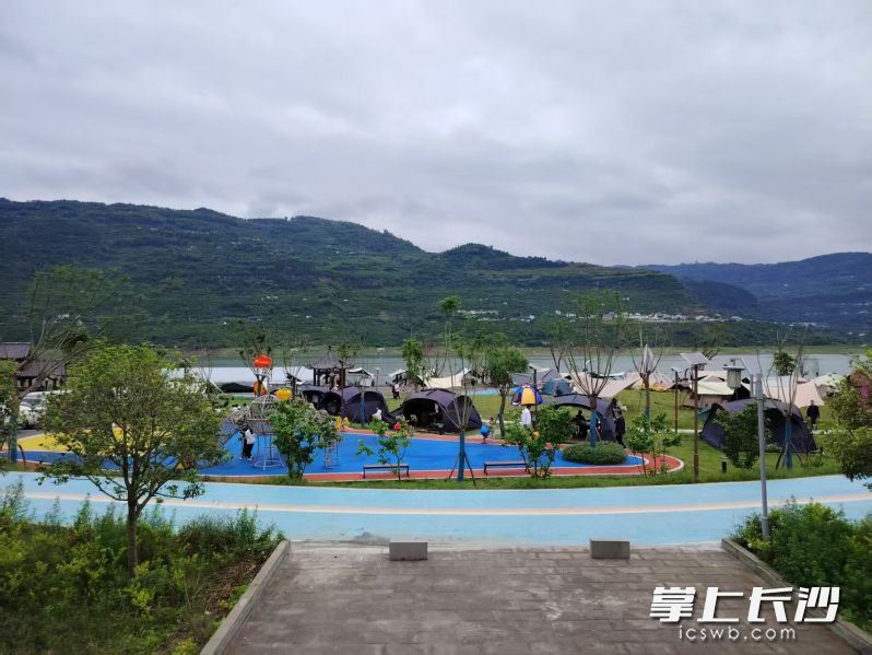 铺垭村露营基地。 均为重庆三峡融媒体中心记者陈星摄