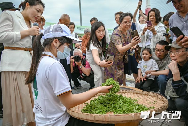 茶乡的茶受到市民的青睐。 均为重庆三峡融媒体中心记者应凤林摄