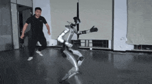 D25280826280012909164_w640h354.gif