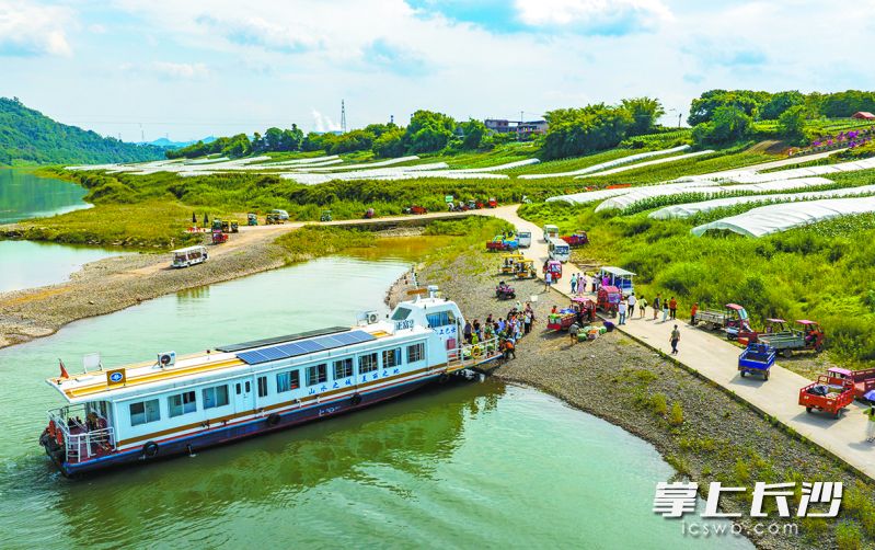 中坝岛唯一出行交通工具——渡船。 均为重庆市巴南区融媒体中心供图