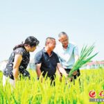 document_news_content_68d1d432181dd.jpg