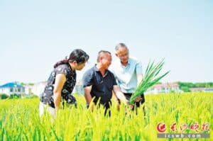 document_news_content_68d1d432181dd.jpg
