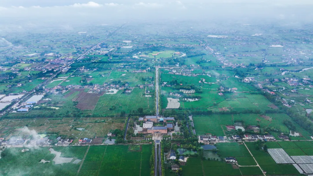 　　城头山遗址。图/钱烨