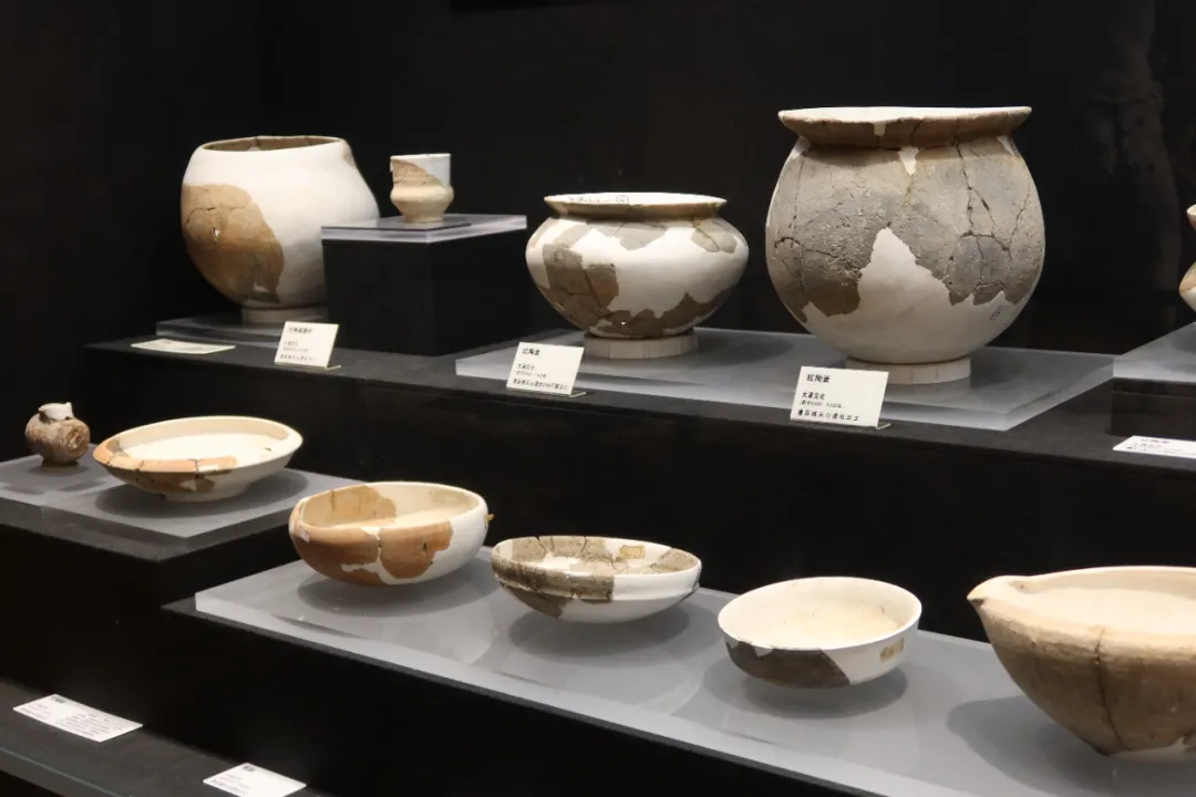 经过修补后的陶器可以看出最初的模样。图/曹宇旋