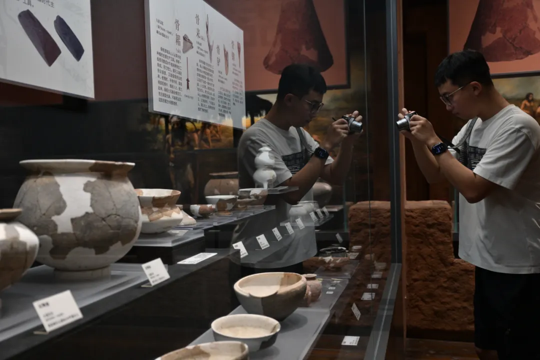 　　城头山的陶器陈列在一起，供游客参观。图/吴琳红