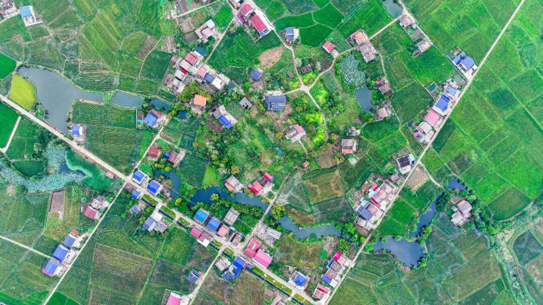 彭头山遗址。图/钱烨
