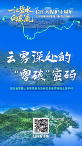 document_news_content_68d6b1ac90258.jpg