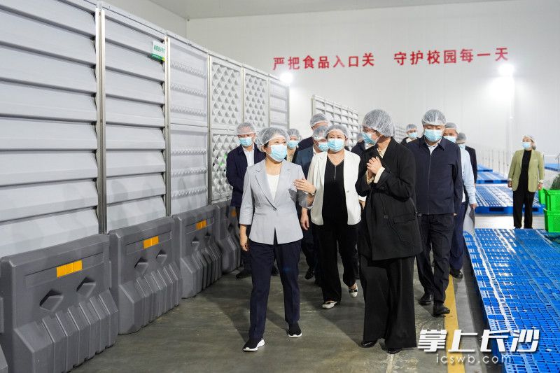 龙山湘鄂渝边区智慧物流中心调研现场。
