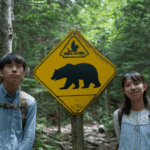1760967872_444.png